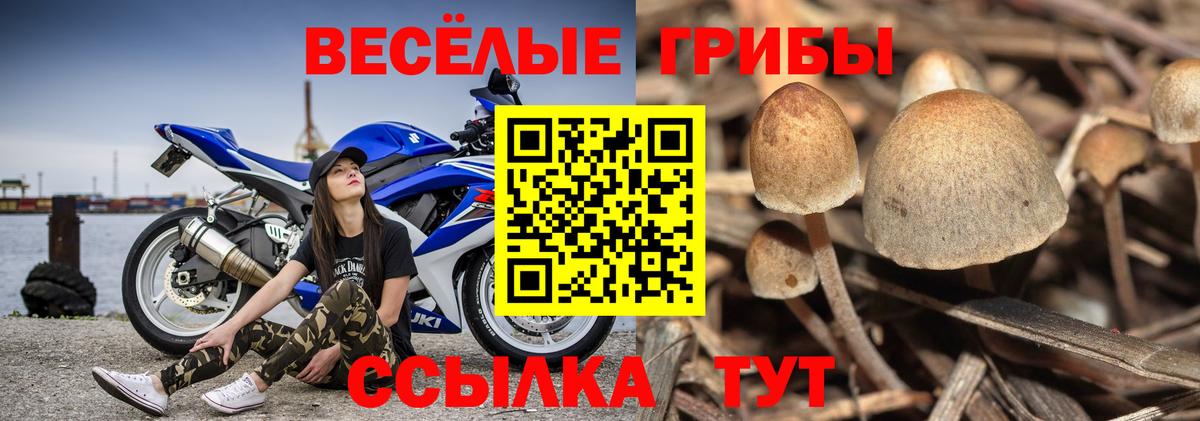 Галлюциногенные грибы ЛСД Старая Купавна